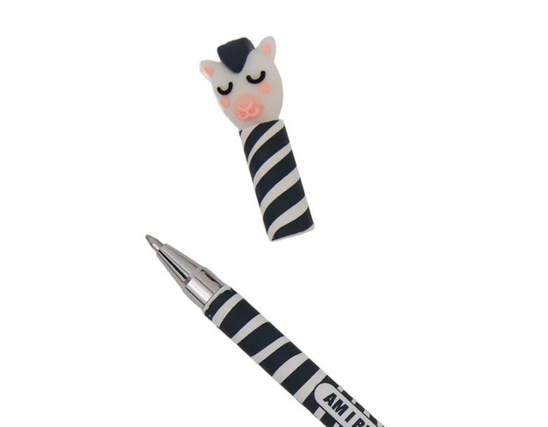 Penna cancellabile zebra Mr Wonderful