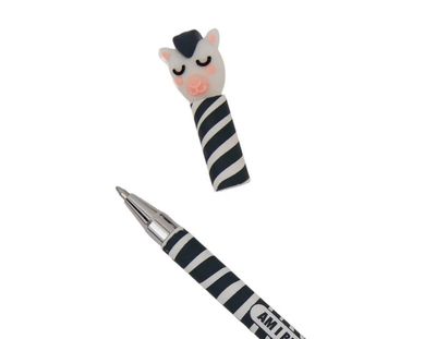 Penna cancellabile zebra Mr Wonderful