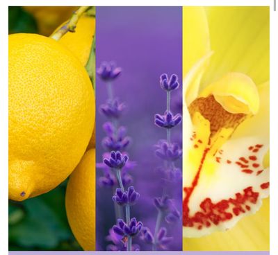 Car jar Yankee Candle Lemon Lavender