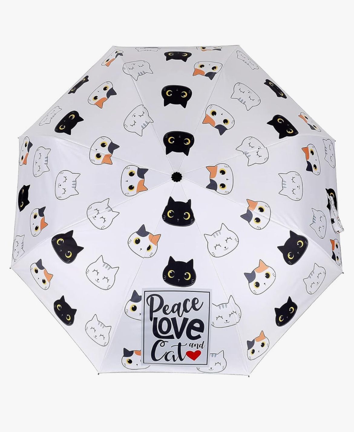 Ombrello con apertura automatica/retraibile gatti gatto