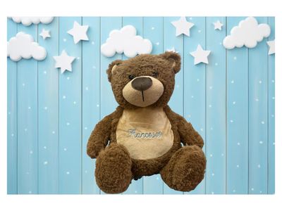 Peluche personalizzato orso TED con nome ricamato