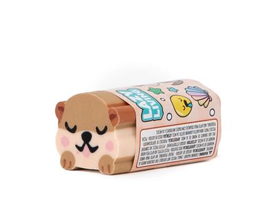 Gomma da cancellare Mr Wonderful lontra