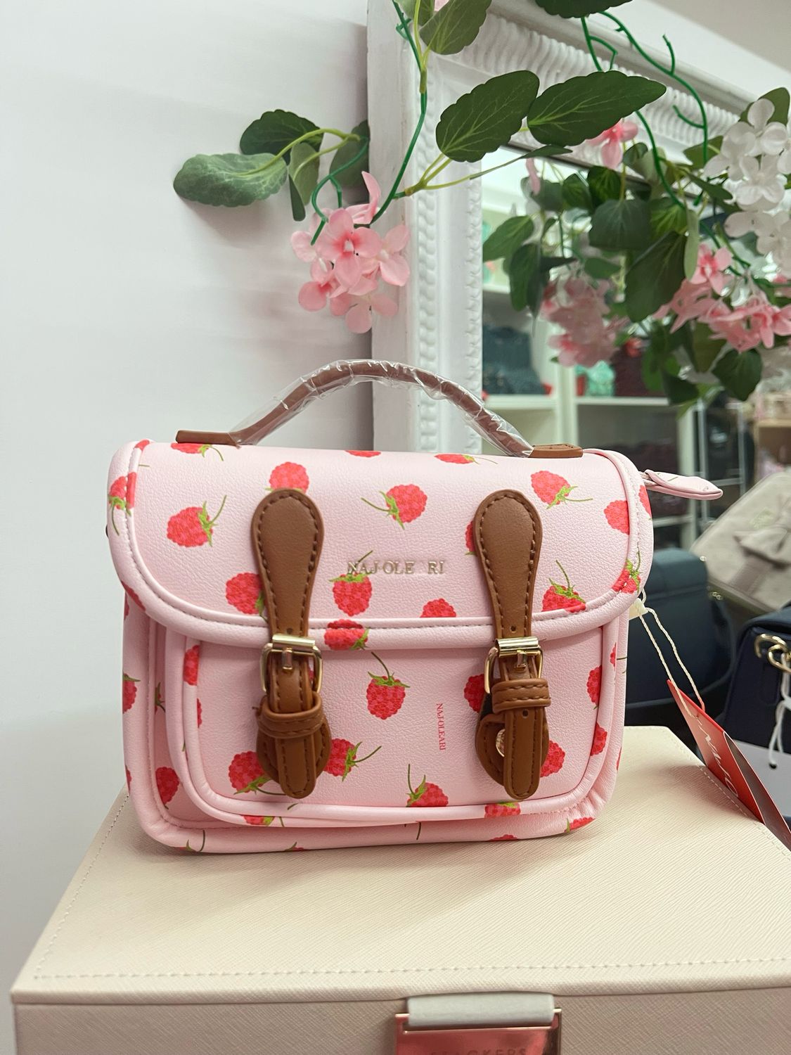 Cartella mini lamponi fondo rosa Naj-Oleari cod. 61158