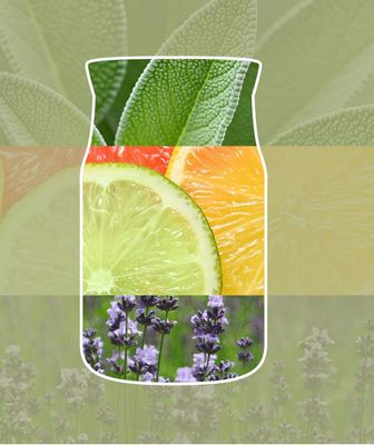 Car jar Yankee Candle sage &amp; citrus