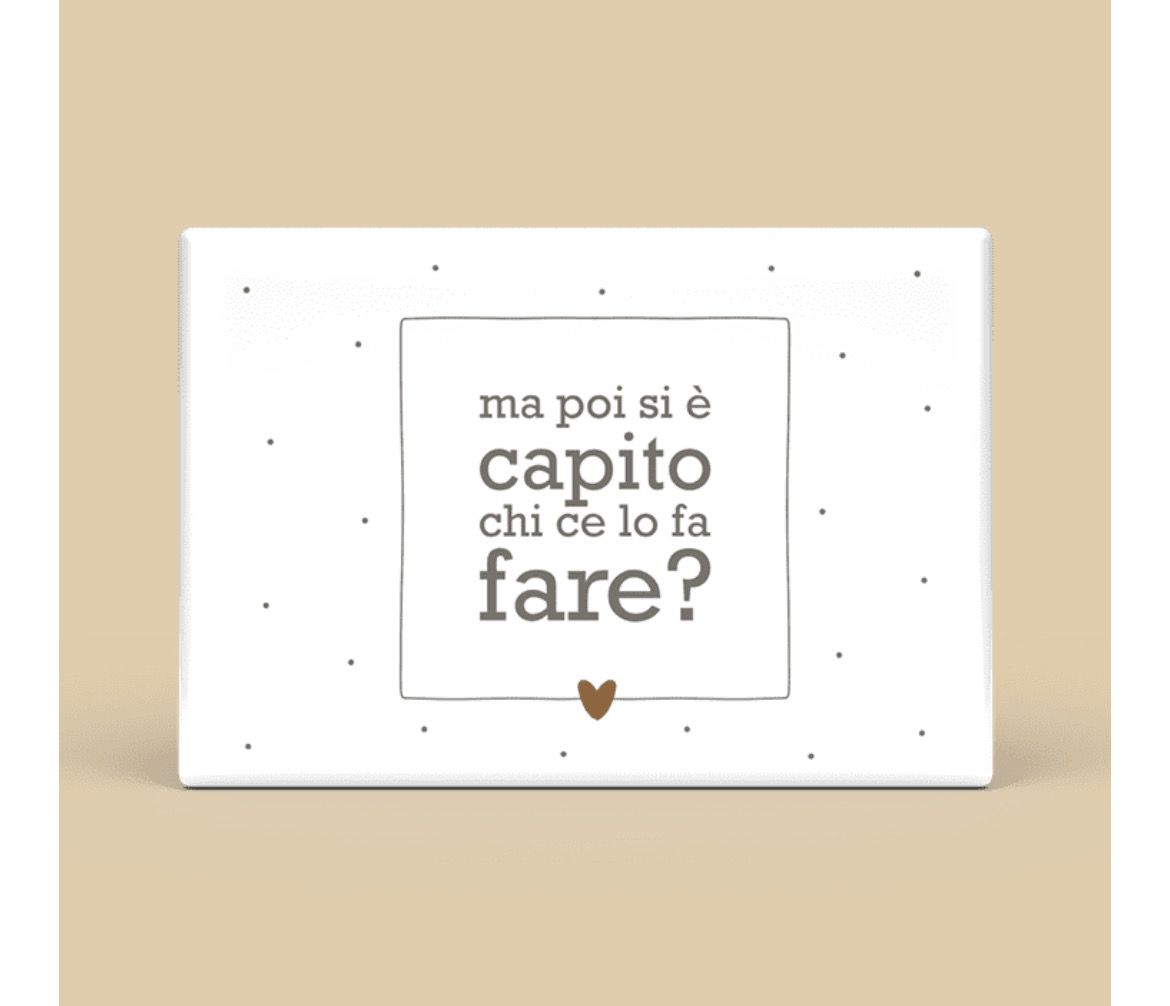 Calamita rettangolare - ma poi si è capito chi ce lo fa fare?