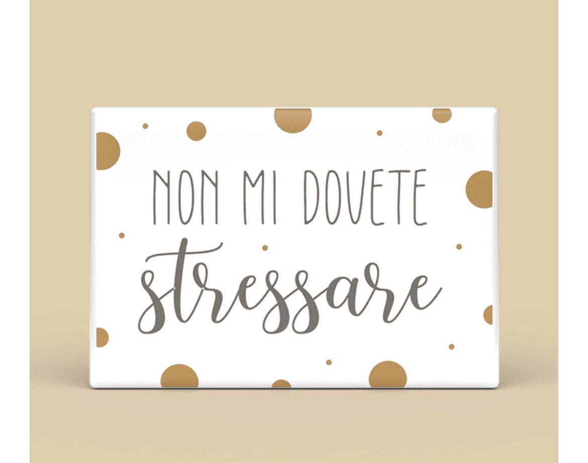 Calamita rettangolare - non mi dovete stressare