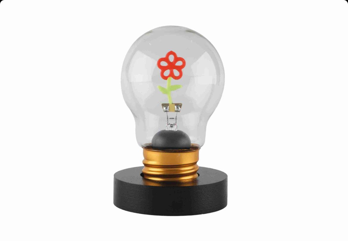 Lampada Led a forma di lampadina con base - Fiore