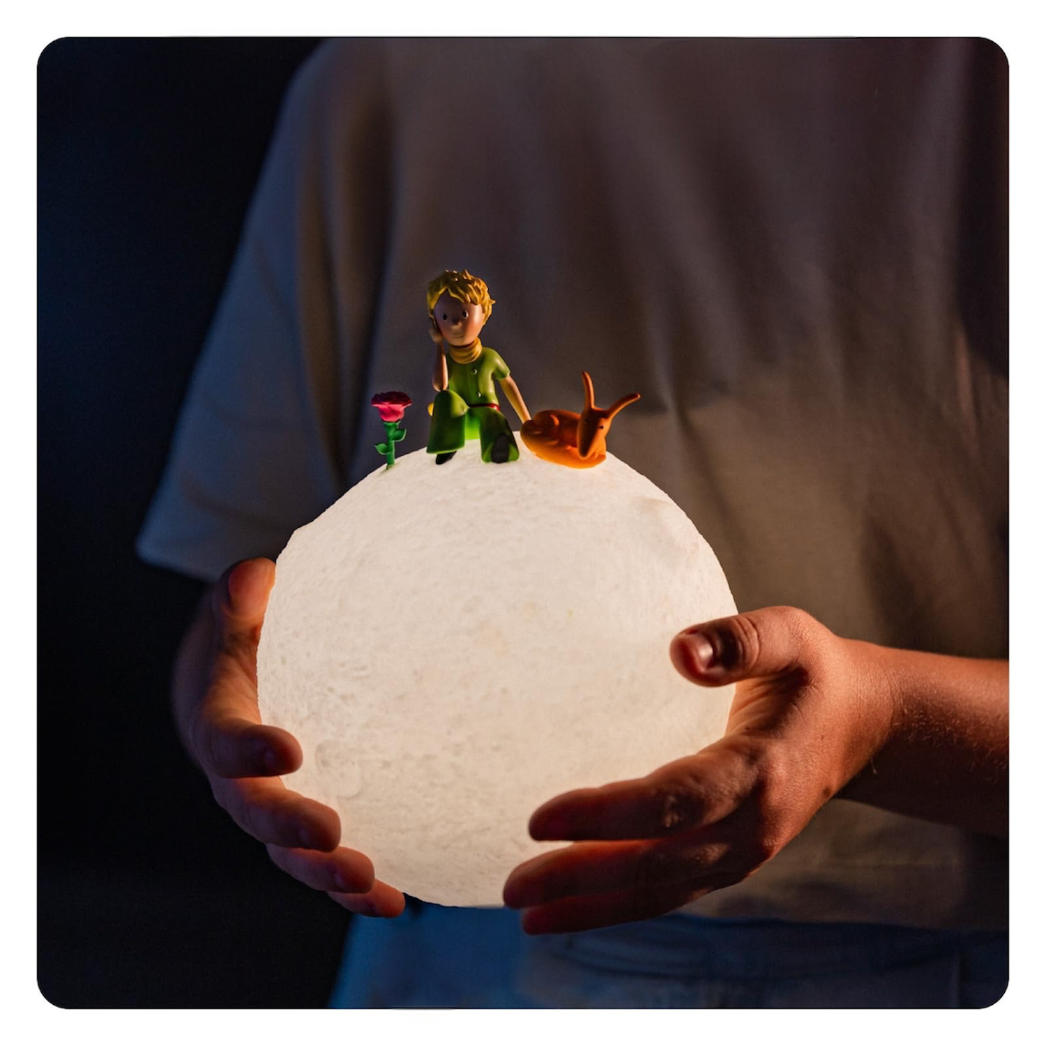 Lampada a led Il Piccolo Principe