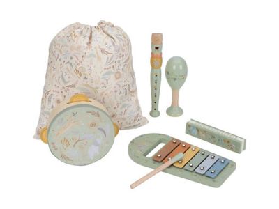 Set musicale verde Little Dutch 7473