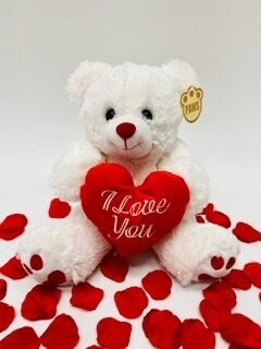 Soft Teddy