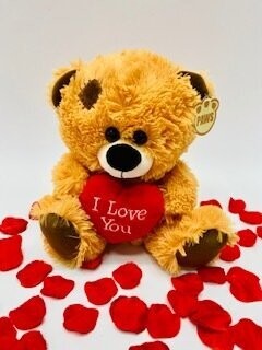 Teddy