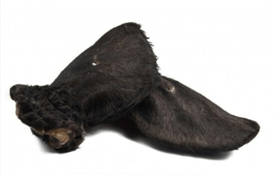 Oreja de Vacuno con pelo