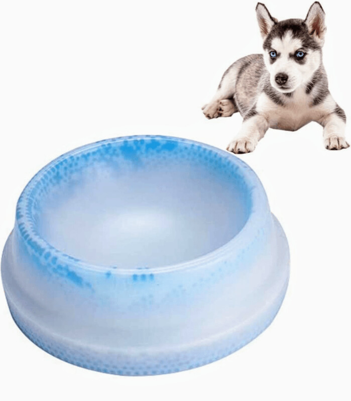 Frosty Bowl Comedero Refrescante