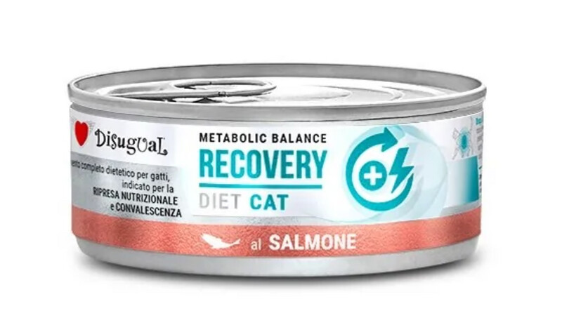 Disugual Dieta de Recuperación Salmón 85gr