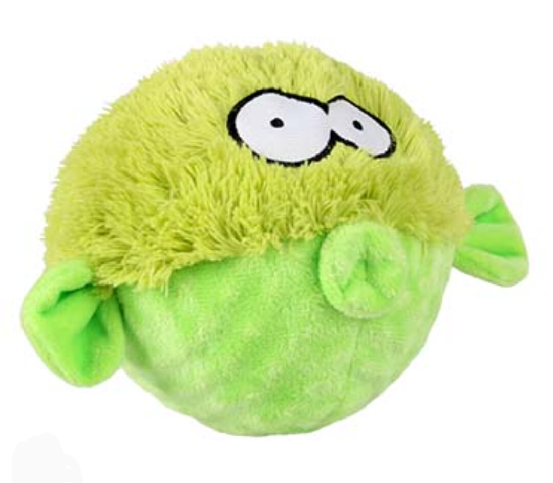 Coockoo Gary Amarillo