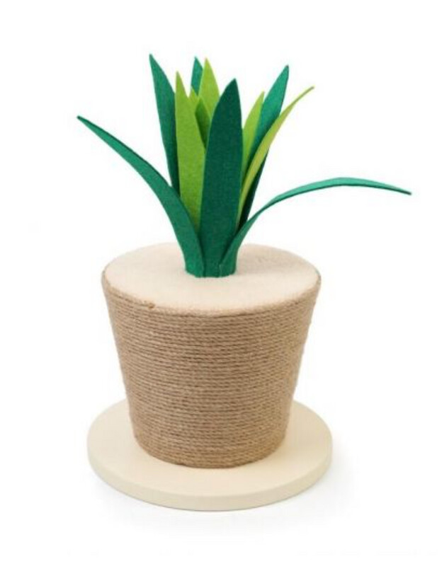 Rascador Planta Agave