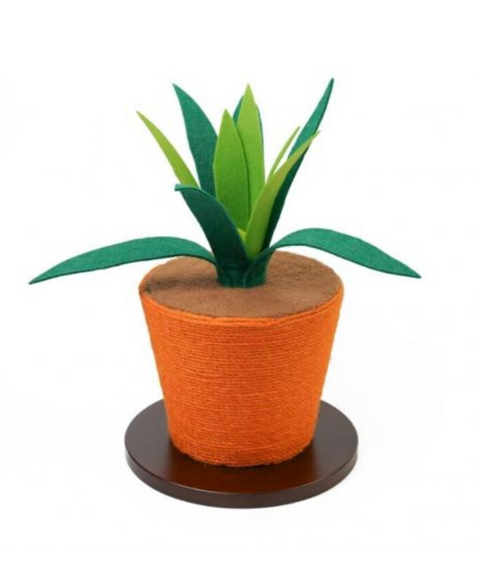 ​Rascador Planta Aloe Vera