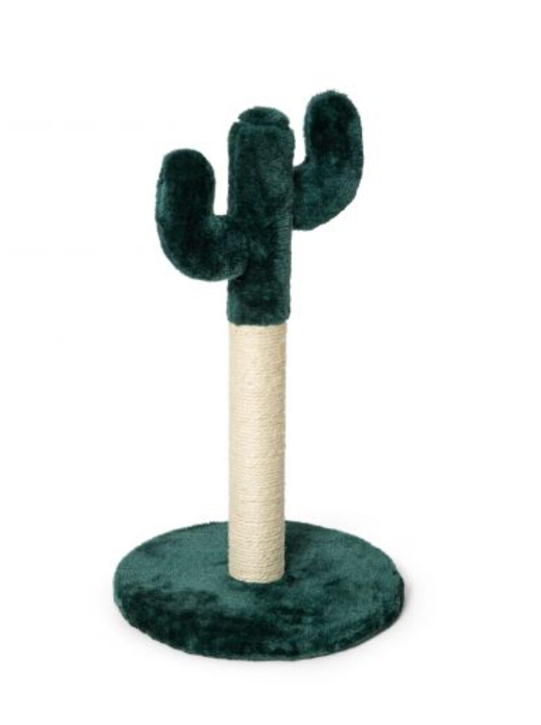 ​Rascador Cactus