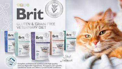 Dietas veterinarias