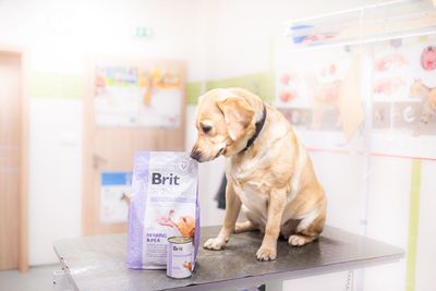 Dietas Veterinarias
