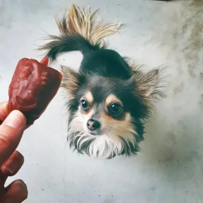 Veganos / Vegetarianos