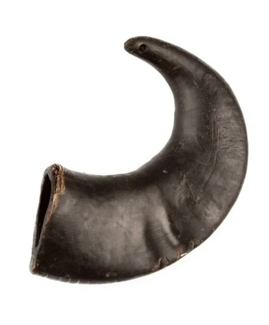 Cuerno de Búfalo S