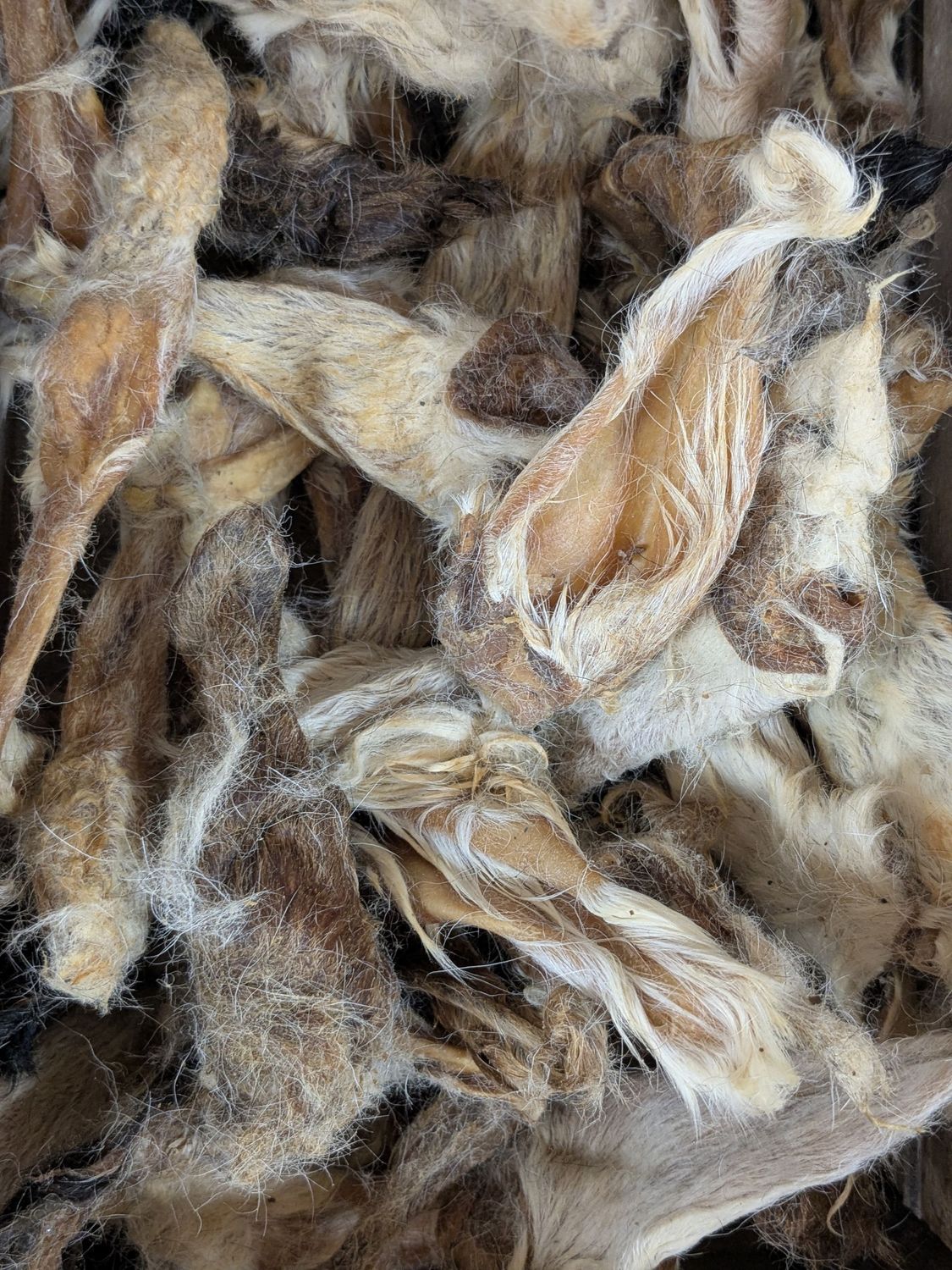 Oreja de cordero con pelo