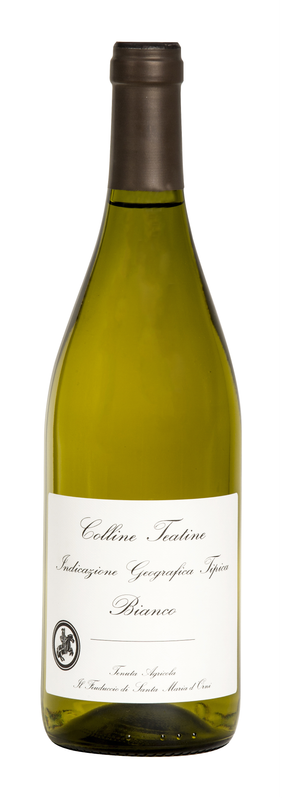 Trebbiano d'Abruzzo Il Feuduccio