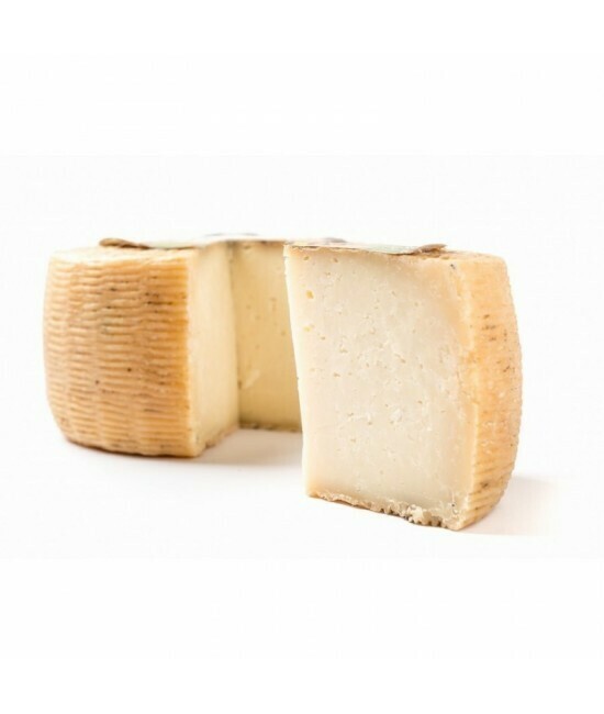 Pecorino abruzzese semistagionato