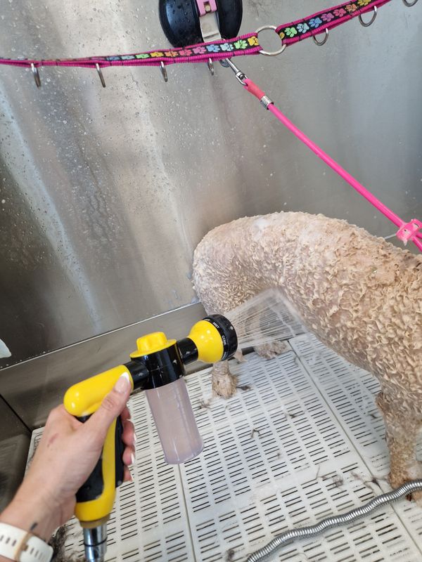 Shampoo Pistole gelb 