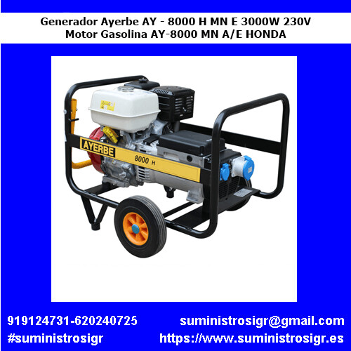 Generador Ayerbe AY - 8000 H MN E 3000W 230V AY-8000 A/E