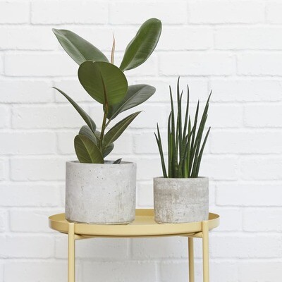 Indoor Plant Pots