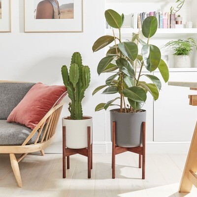 Wooden Plant Stand