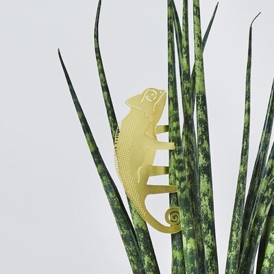 Plant Animals