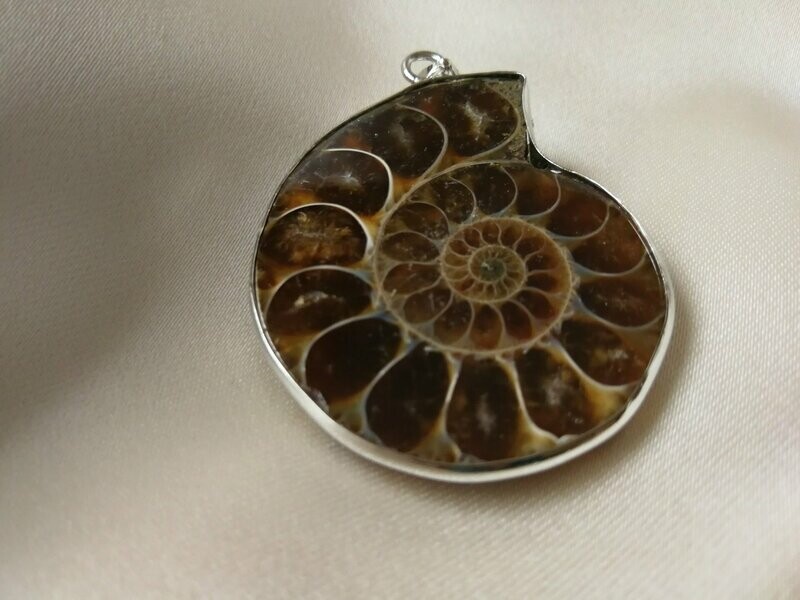 COLGANTE DE FÓSIL PREHISTÓRICO