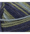Patons Classic Wool Worsted #77804 Indigo Meadow