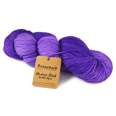 Araucania Yarns Huasco Sock Kettle Dyes