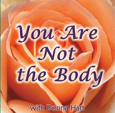 You Are Not The Body
