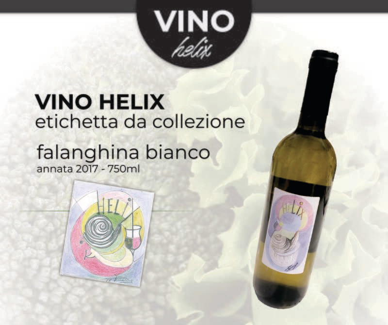 VINO HELIX - falanghina bianco - etichetta da collezione - 750ml | annata 2019