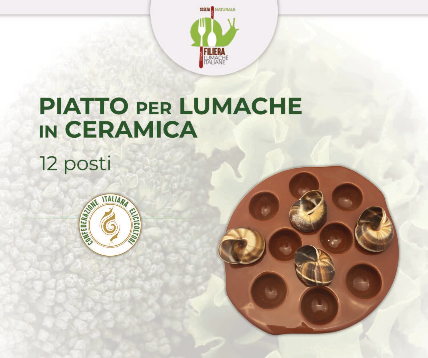 PIATTO PER LUMACHE - IN CERAMICA - 12 posti