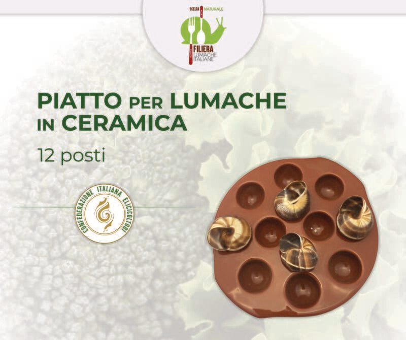 PIATTO PER LUMACHE - IN CERAMICA - 12 posti