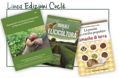 i Libri, Manuali, Guide e DVD: Edizioni Coclè