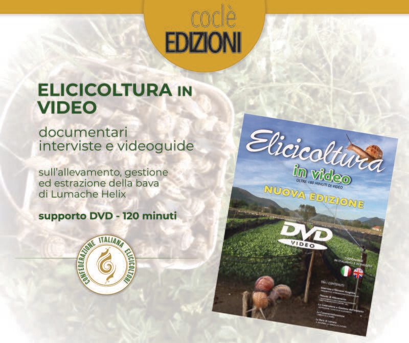 ELICICOLTURA IN VIDEO - dvd video - oltre 120 minuti - NON DISPONIBILE