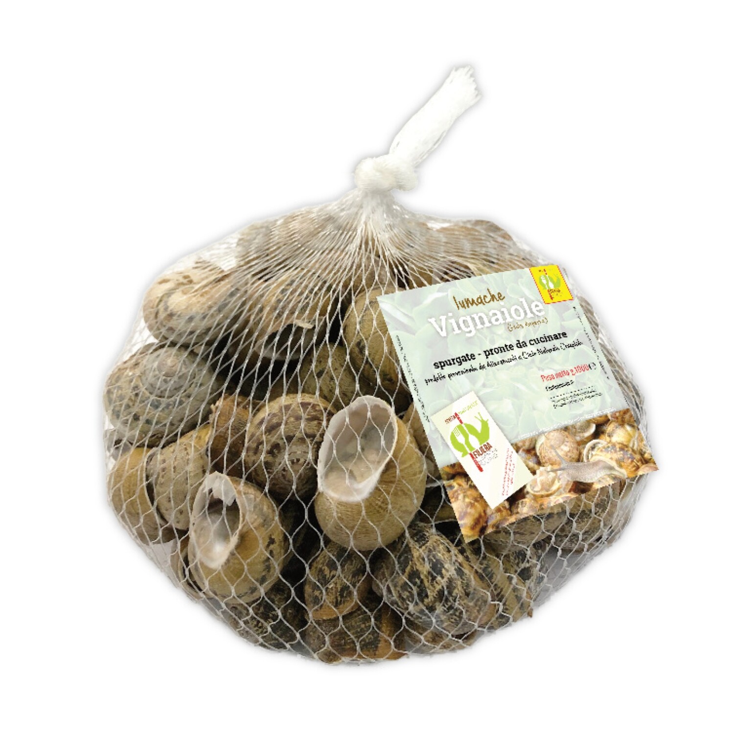 HELIX ASPERSA - fresco in sacchetti - 1kg