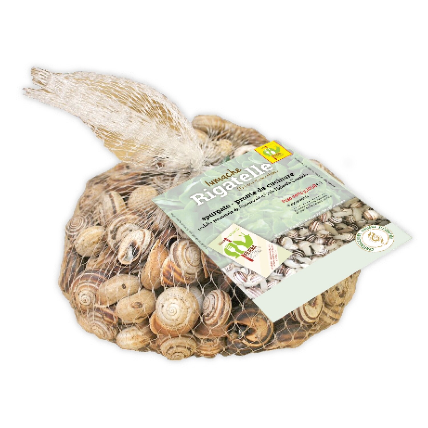 LUMACHE RIGATELLE (eobania vermiculata) - fresco in sacchetti - 1kg
