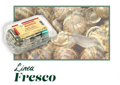 Linea Fresco: Filiera Lumache Italiane