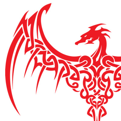 CHASING THE DRAGON