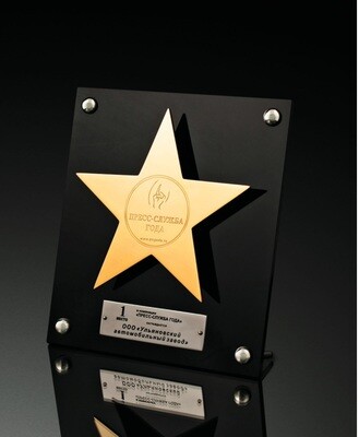 Награда, бизнес-сувенир Профессионал с покрытием золотом 999° (с вашими логотипами, надписями, символами)