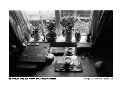 Ilford Delta-400 Professional 135-36 Black &amp; White Print Film (ISO-400)  expired 09/2027