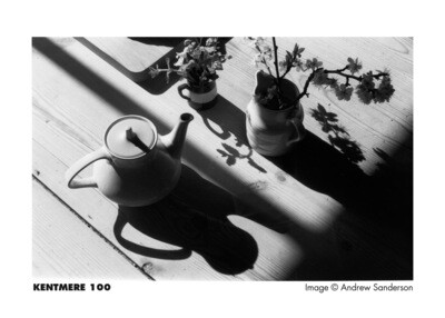 Kentmere Pan 100 135-24 expired 10/2029
